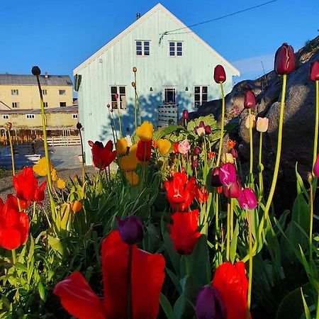 Lysvoldbrygga Bed & Breakfast Henningsvær Exterior foto