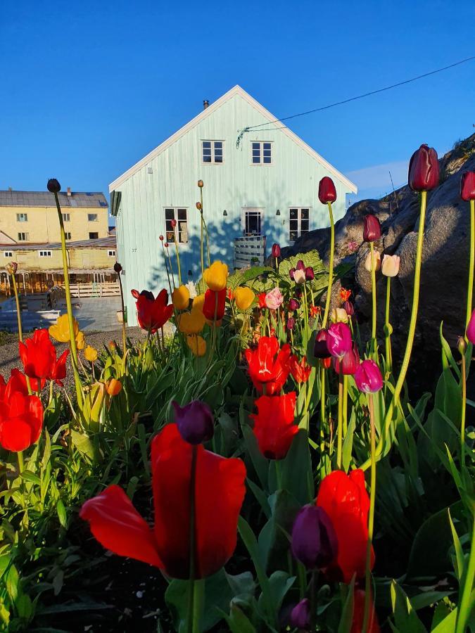 Lysvoldbrygga Bed & Breakfast Henningsvær Exterior foto